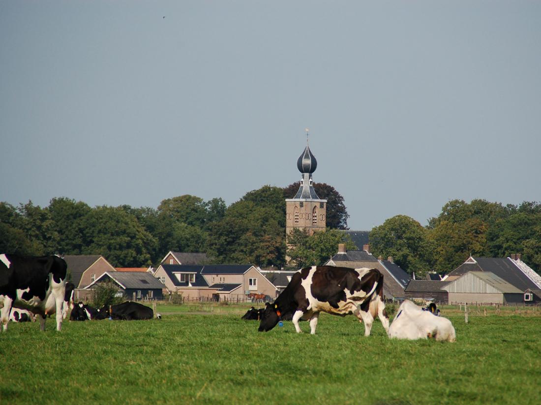 Weekendjeweg Dwingeloo Omgeving Weilanden