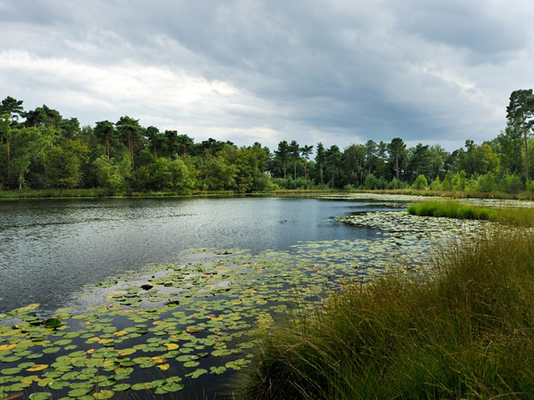 Hotel de Druiventros Noord Brabant Omgeving