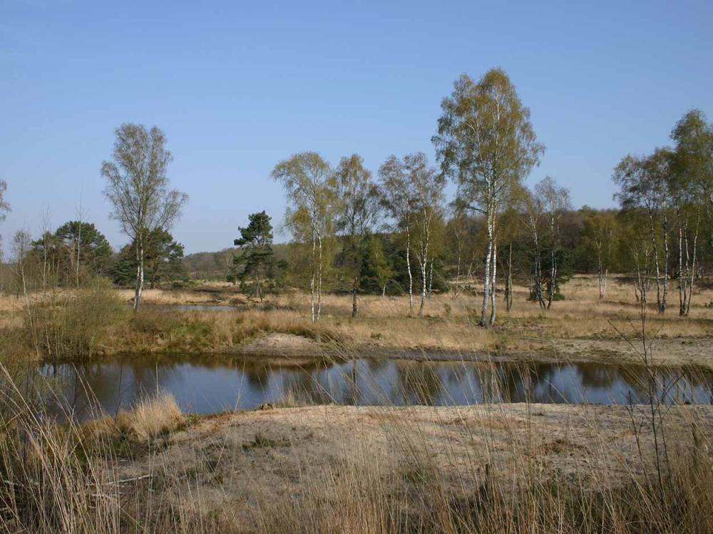 Boshotel Vlodrop Limburg Omgeving Meinweg