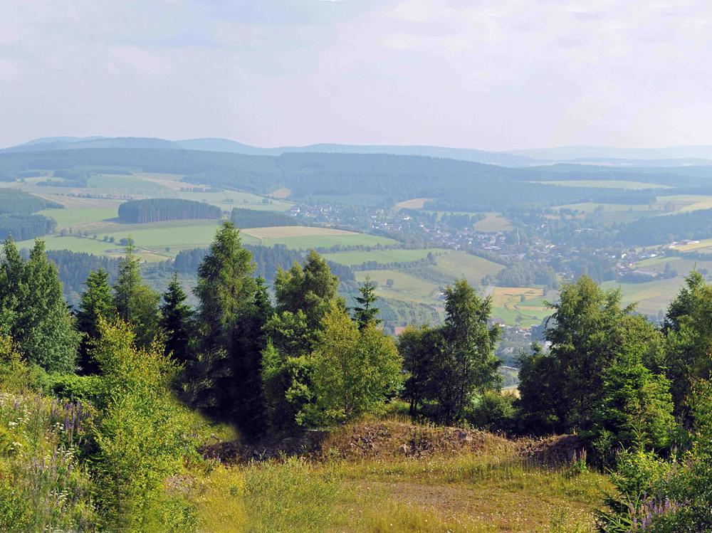 Hotelaanbieding Hotel Niedersfeld Panorama